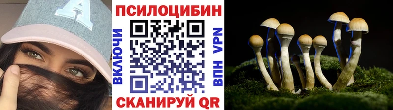 Псилоцибиновые грибы мухоморы  Щигры 